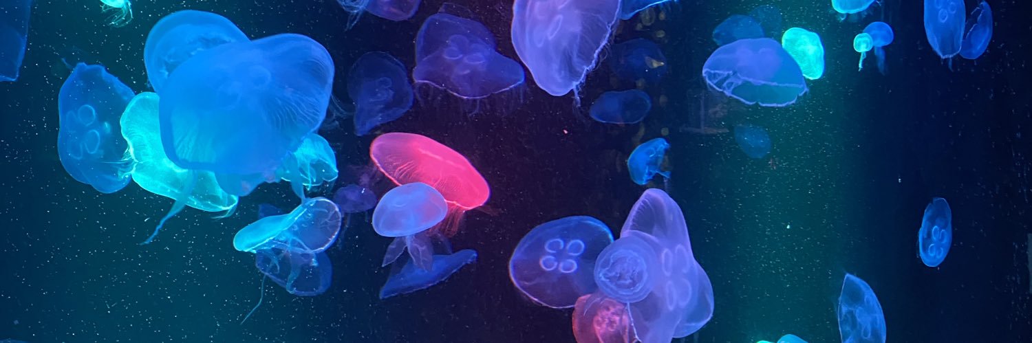 mydaisybuboo's profile banner image