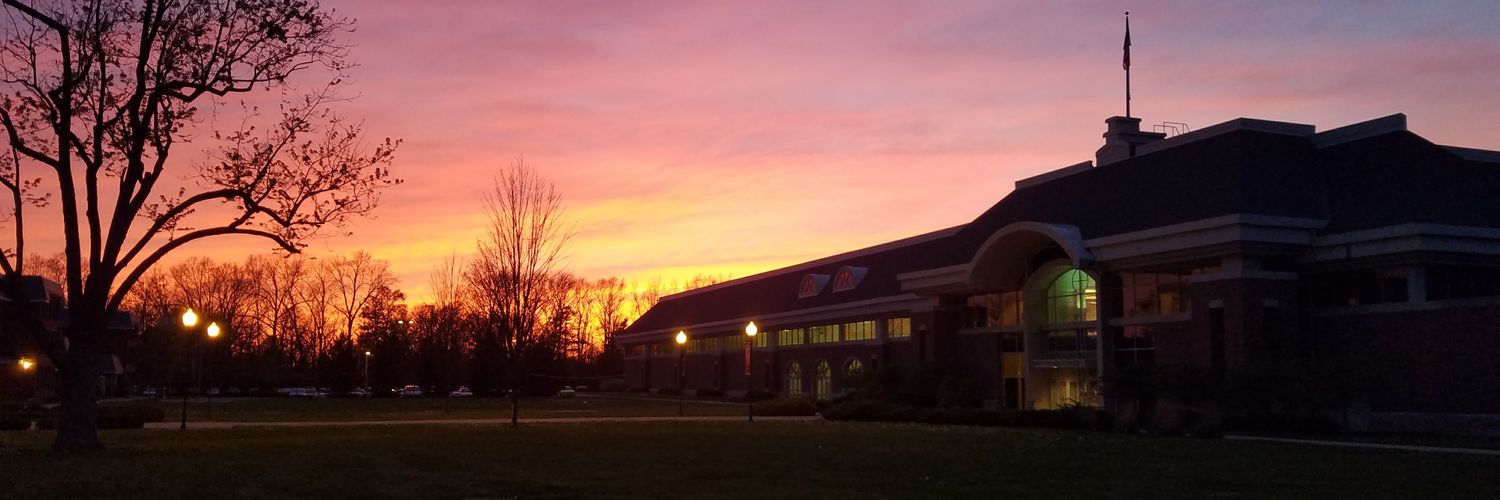 mr. basura head banner