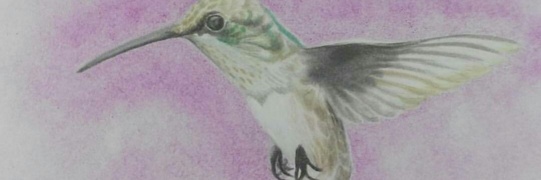 laucarranzza's profile banner image