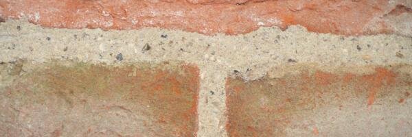 limestuff's profile banner image