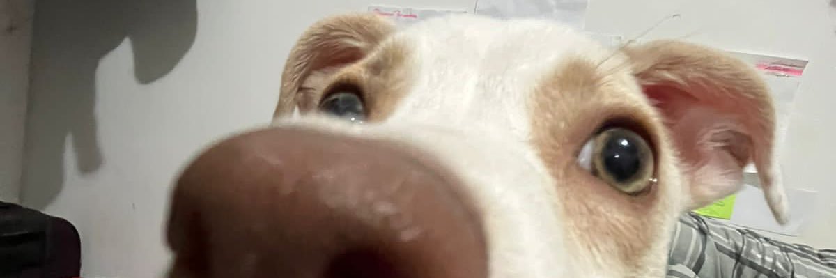 mellindx's profile banner image