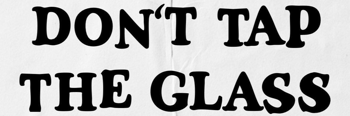 Fitzxn's profile banner image