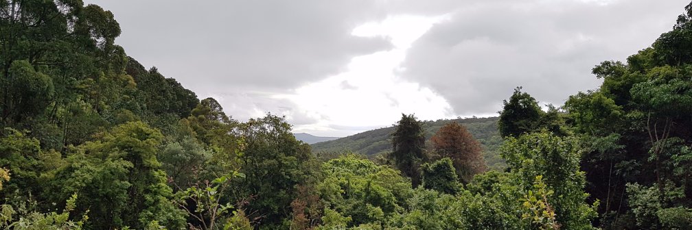 Mêmie banner