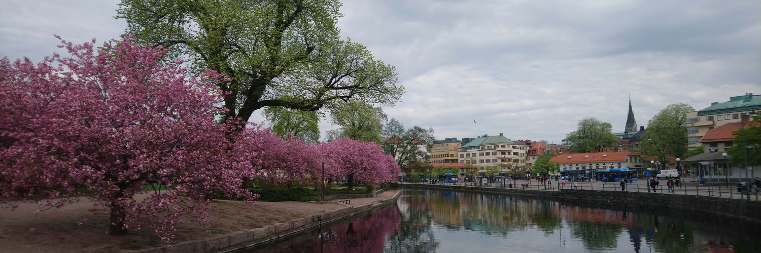 MBagirkan's profile banner image