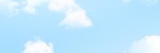bizzledrewzel's profile banner image