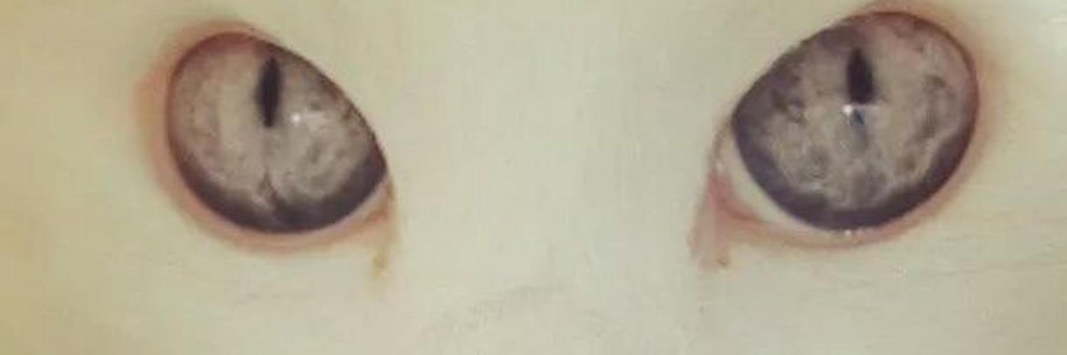 Francisco George 🔻🏴‍☠🇪🇺🇧🇪🇪🇦 banner