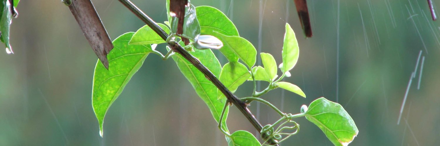 Deepti Sachdeva banner