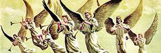 N banner
