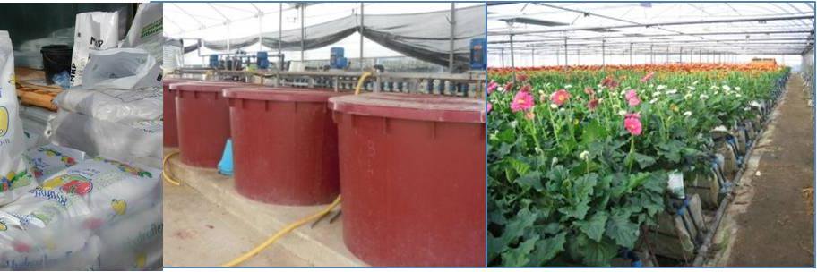 FertirrigoFacile di Silvio Fritegotto banner