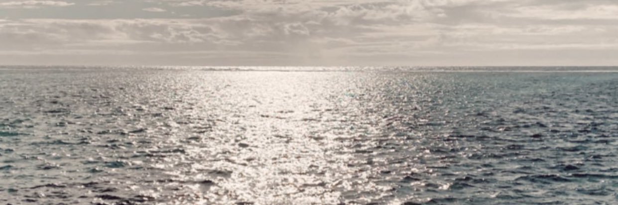 SHASALINTA's profile banner image