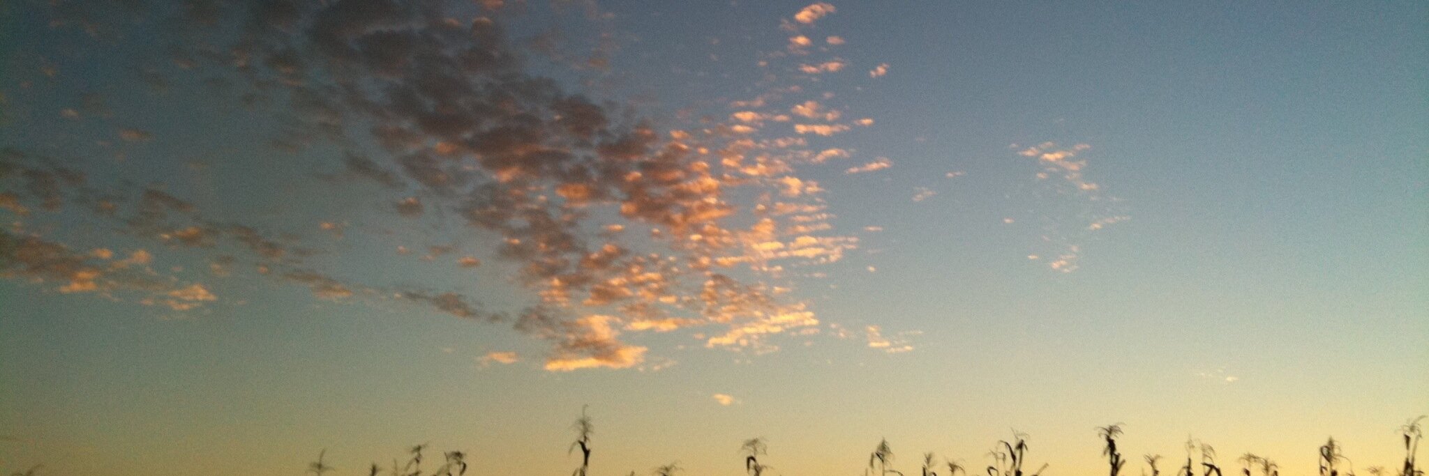 Shane Krukowski banner