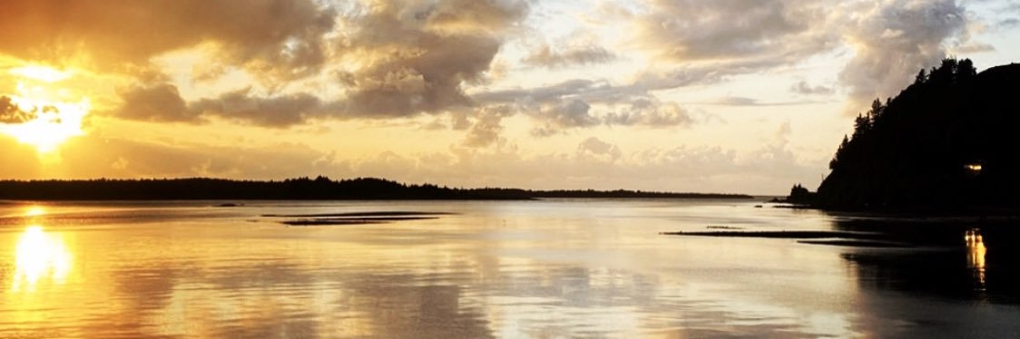 stevenshomler's profile banner image
