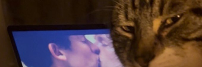 WillisRease's profile banner image