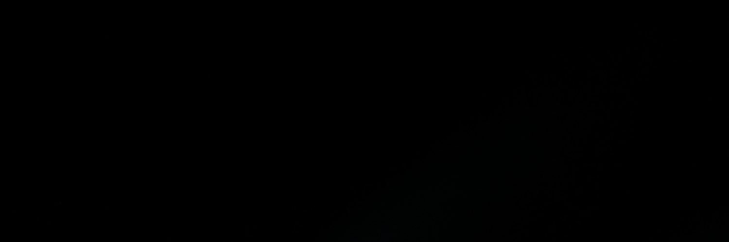 alfitaprameela's profile banner image