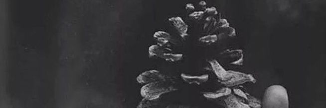 AraromiArewatom's profile banner image