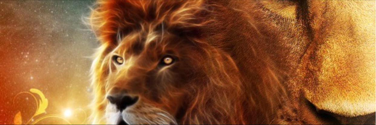 MalkZmanh's profile banner image