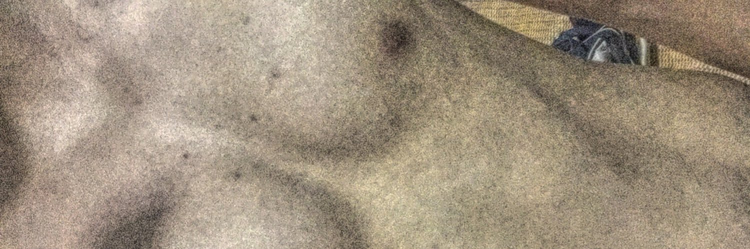 libraromo's profile banner image