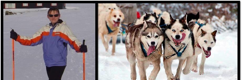 Five Stars Appeal banner