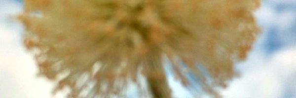 jjj_daks Profile Banner