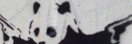 RokkatBoi's profile banner image