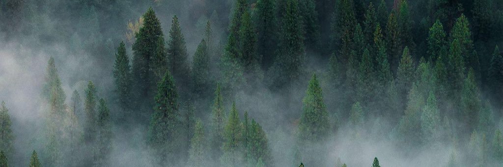 KySandow's profile banner image