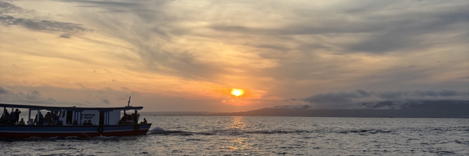 aldilasps's profile banner image