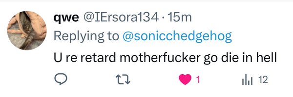 sonicchedgehog Profile Banner