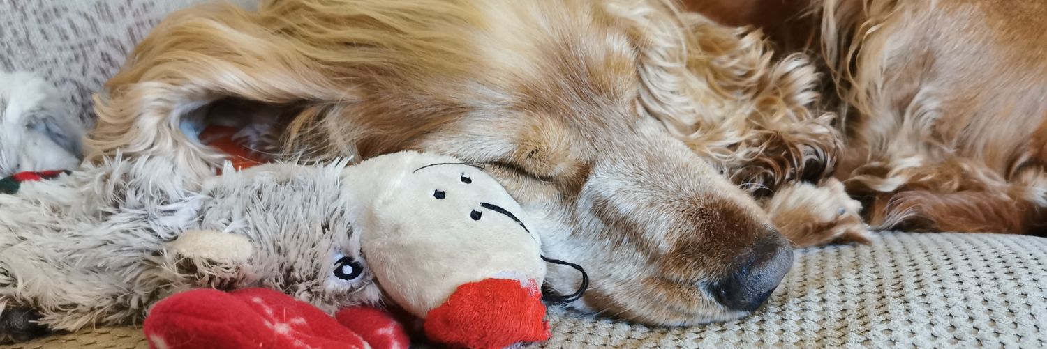 robuk555's profile banner image