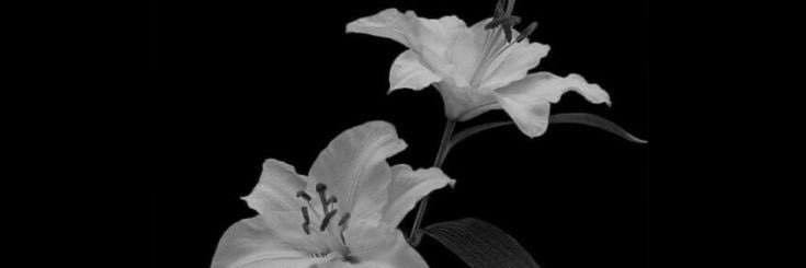 廃墟 banner