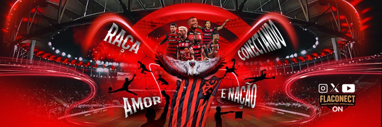 FlaConect's banner
