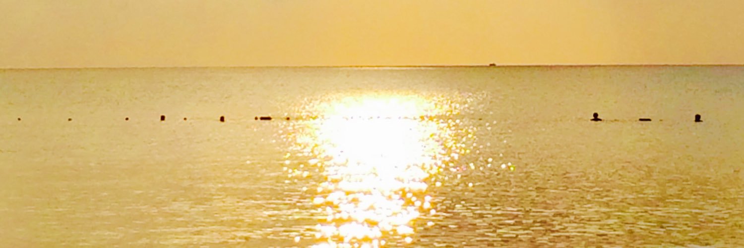 mcvhrplt's profile banner image