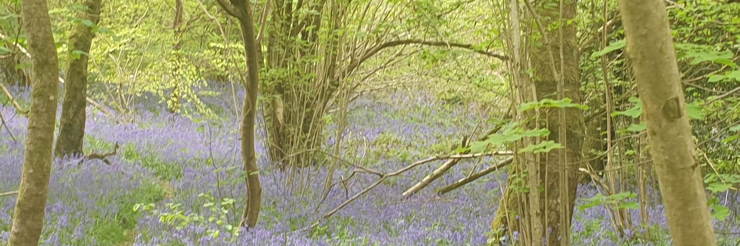 AllThingsMaths's profile banner image