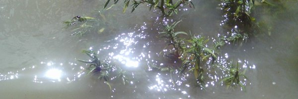 devilsnestgang Profile Banner