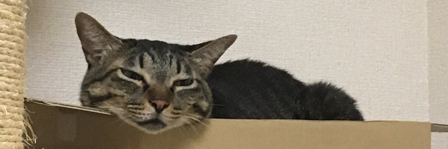 vitz_nao's profile banner image