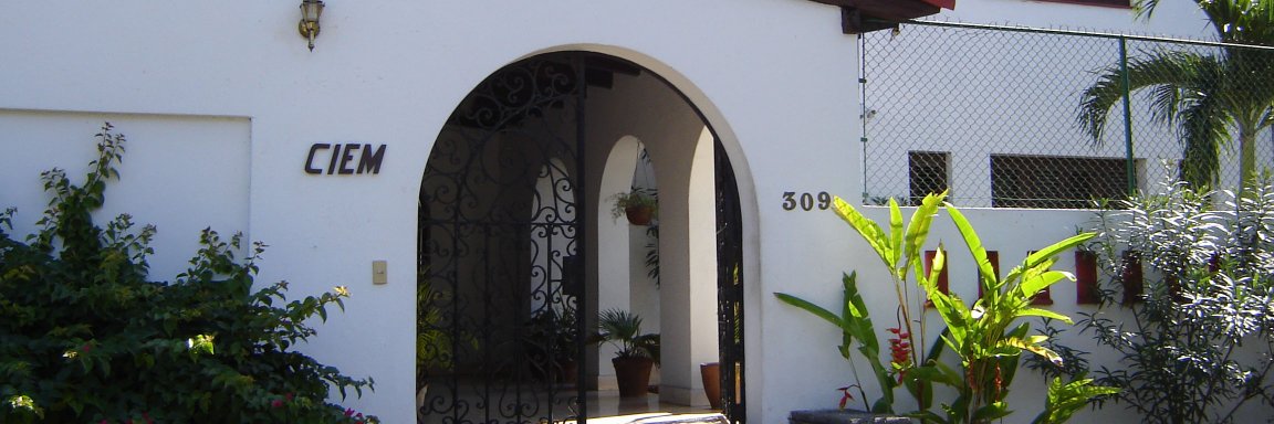 Centro de Investigaciones de la Economía Mundial banner