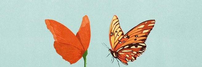 alepdeluca's profile banner image