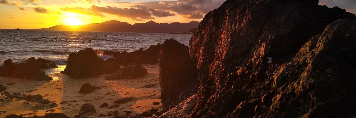 Janush Stolarek banner