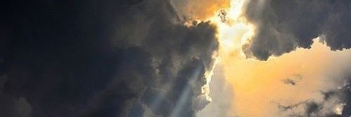 nrsh233's profile banner image