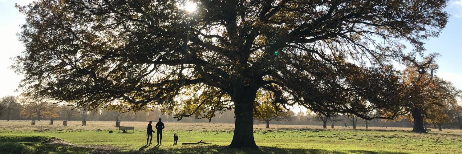 Thomas Boivin banner