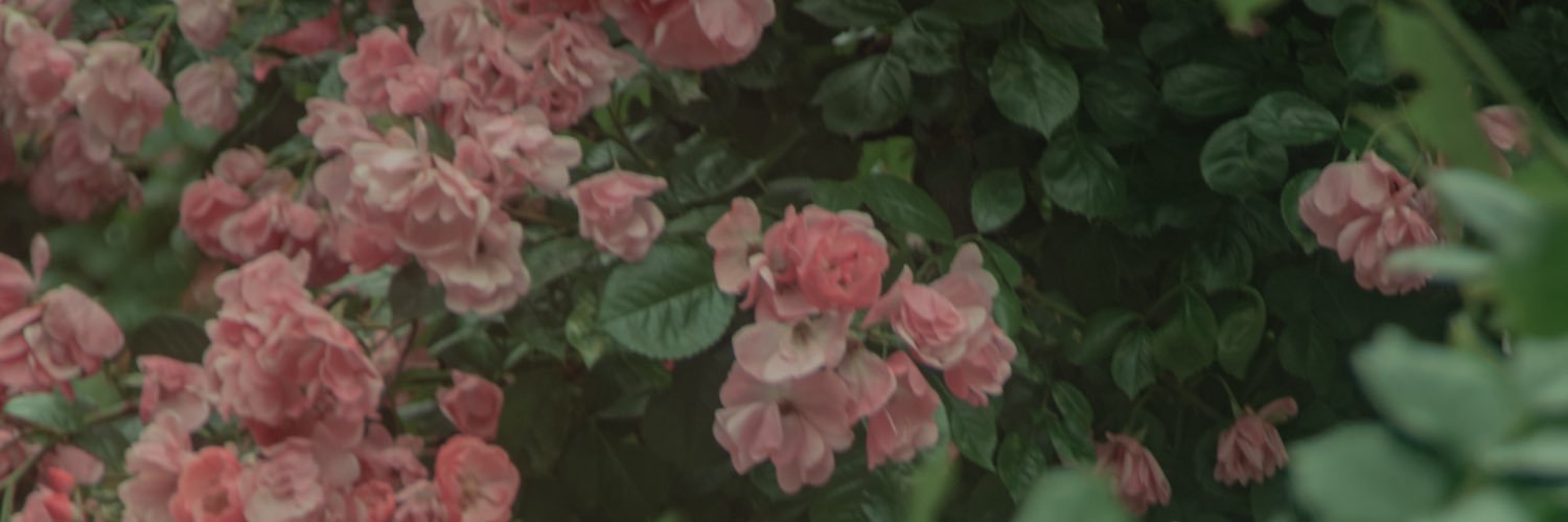 涼(すず)🫧 banner