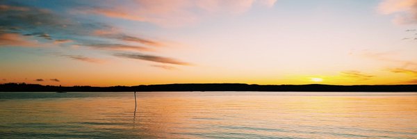 AniaBujko Profile Banner