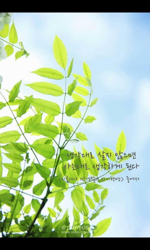 추선영(중원구 사회복지과) banner