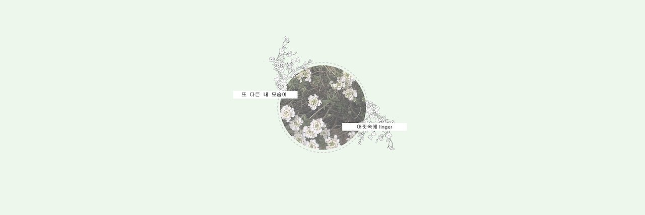 yeyimkim's profile banner image