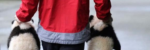 1wedayo's profile banner image