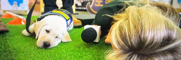 vella_lara Profile Banner