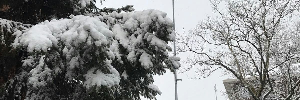 darshu_b's profile banner image