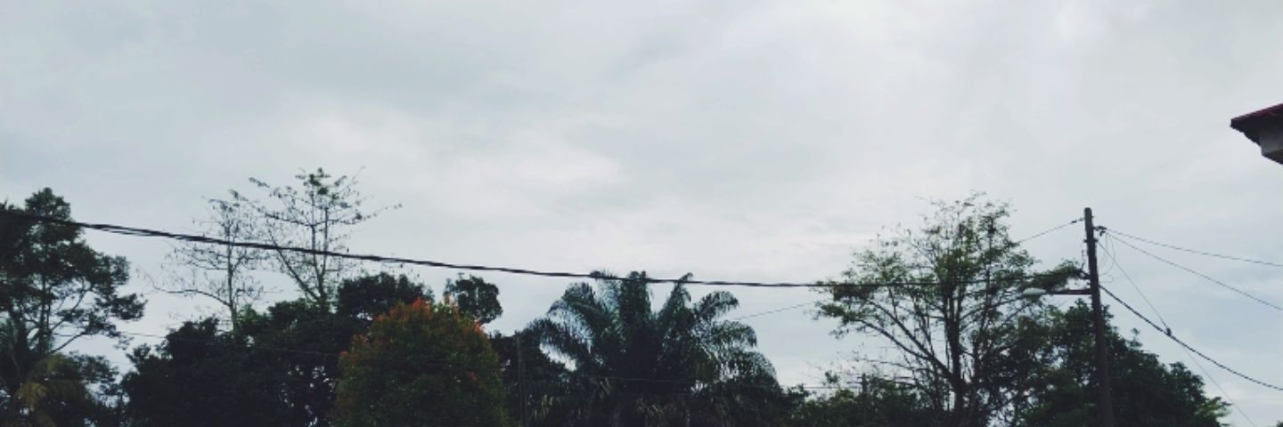 sisshiraaa's profile banner image