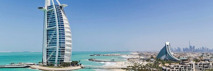 Sandy Donnelly banner