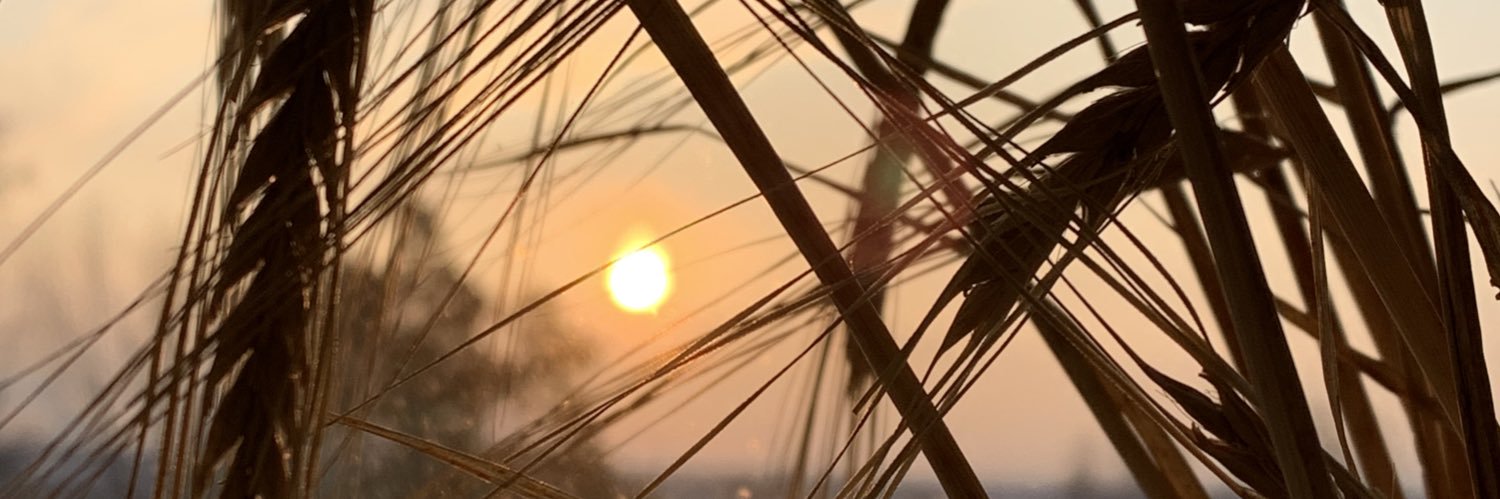 bug_eva's profile banner image