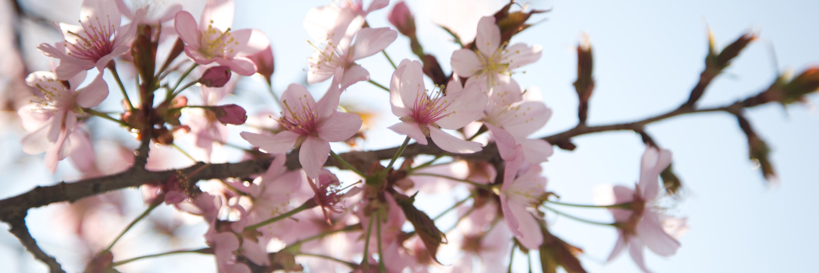 RelaxCentre's profile banner image